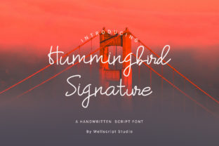 Hummingbird: A Versatile Script Font for Creative Branding