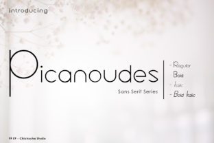 Picanoudes: A Modern Sans Serif Font for Web Design and Branding
